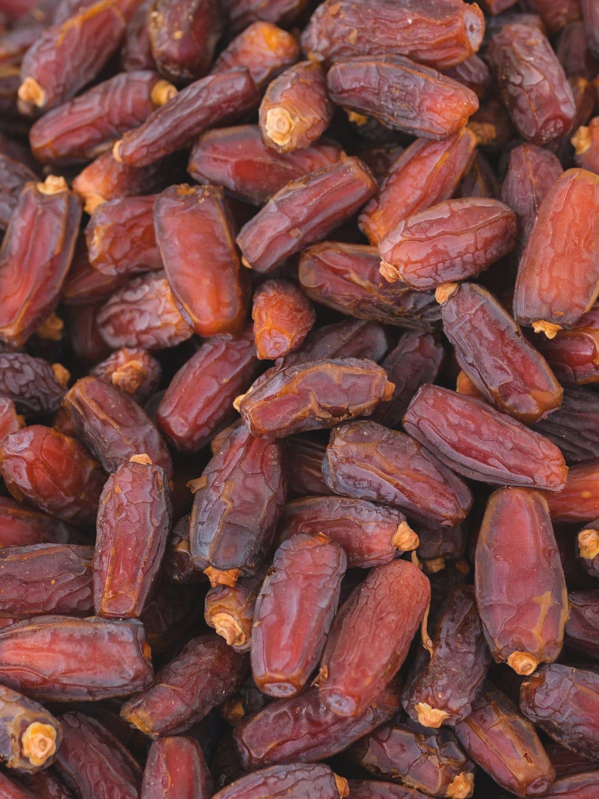 Fruits secs destinés à l'export — filière vetafresh