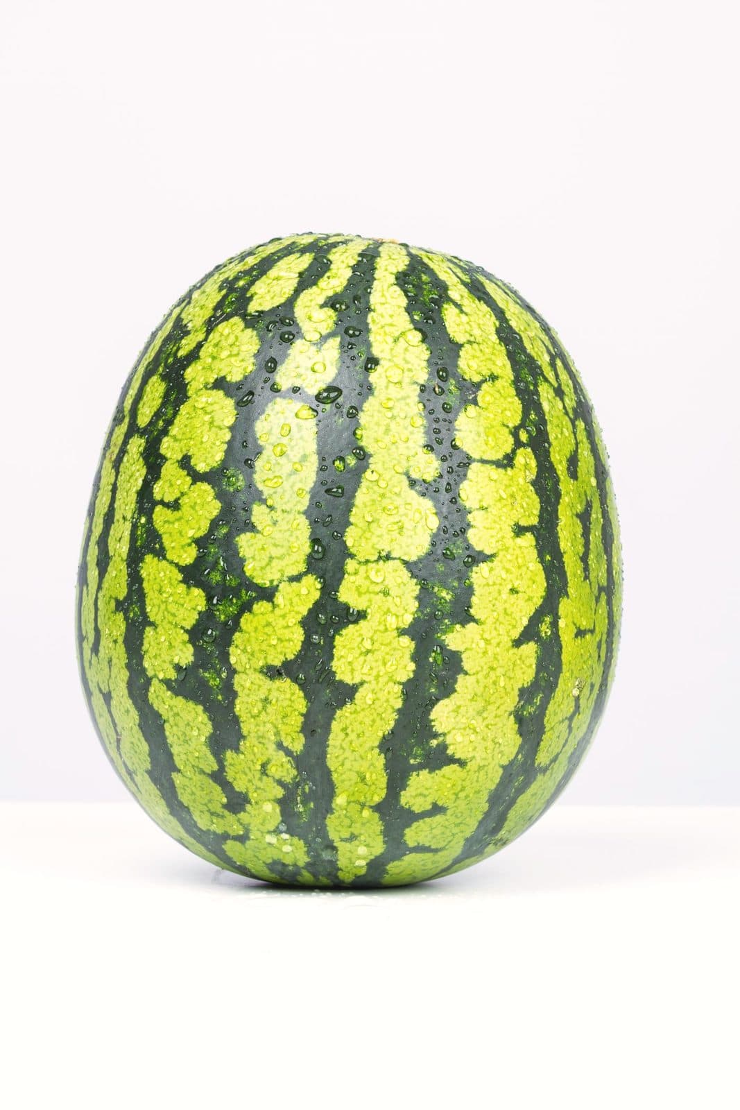 Melons & pastèques destinés à l'export — filière vetafresh